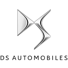 Logo de DS: cliente de grupo prisma