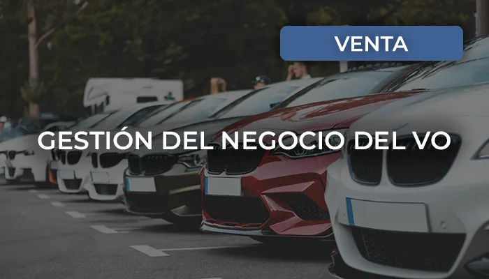 Curso de Gestión del negocio del VO