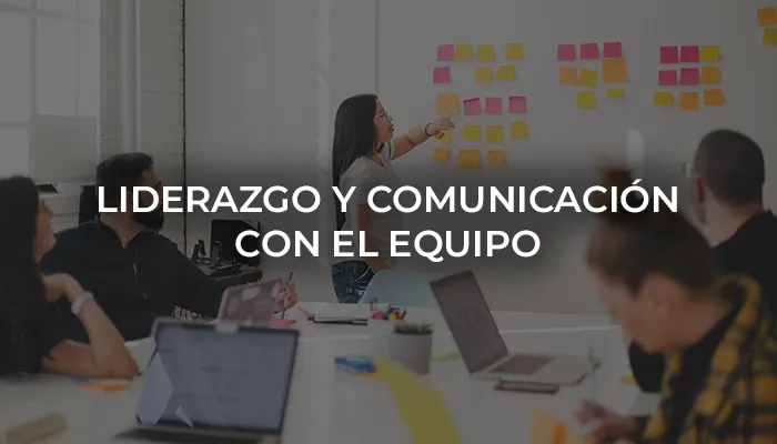 curso de Liderazgo y comunicación en el equipo