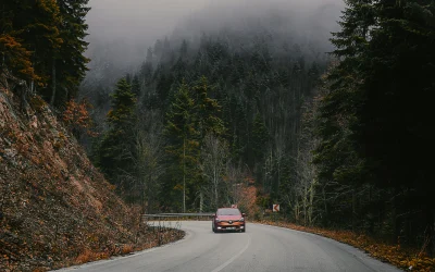 Renting vs compra tradicional